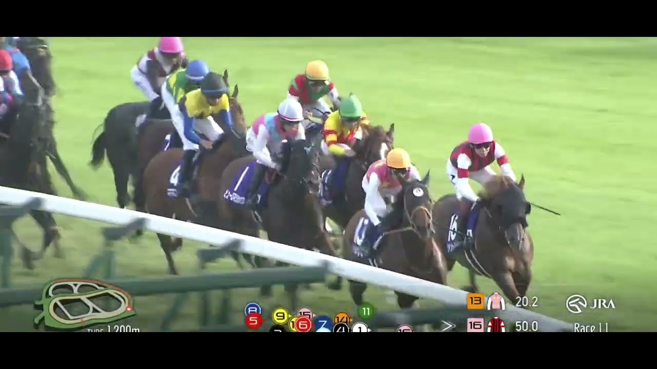 玉置浩二【ファンファーレ】　レース映像合わせ