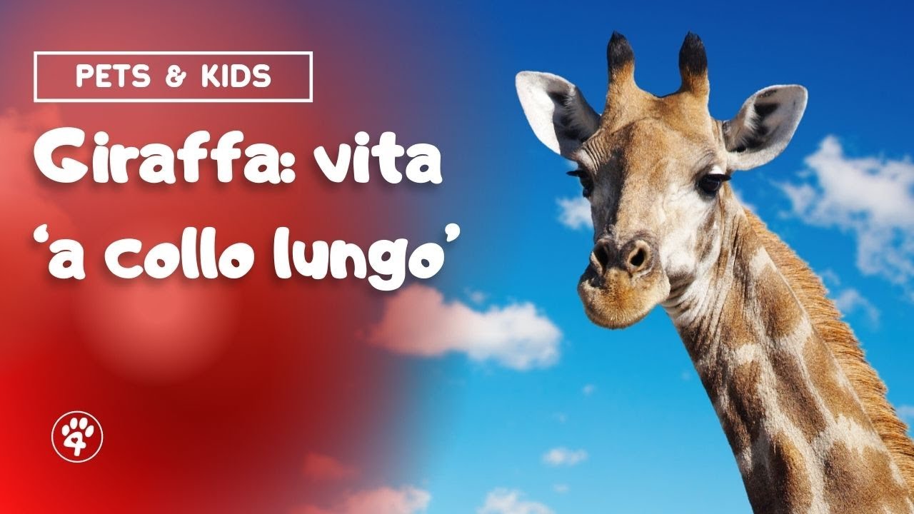 La Giraffa - Pets & Kids 🦒 | Amoreaquattrozampe.it