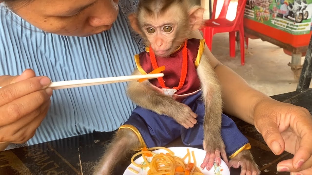delicious!! Mom teaches her little princess,LIORA to taste the spaghetti she makes for the family