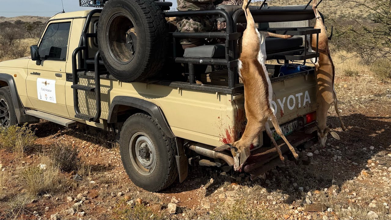 اليوم السادس في مقناص صحراء كالاهاري 🔥🦌