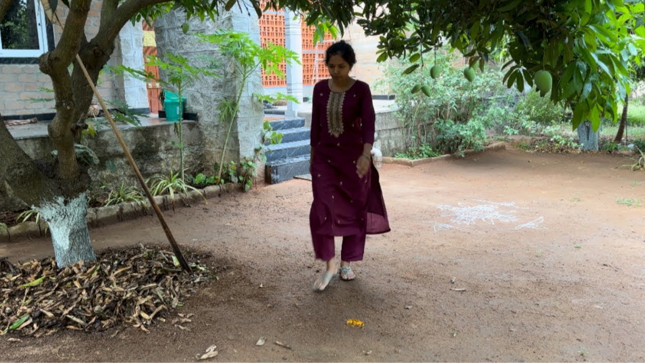 వెల్లుల్లి/garlic పంట ఆశించినంతగా లేదు।ఆవులు ఇంటికి వచ్చే వేళ॥బీరకాయల harvest | Madhuvanam