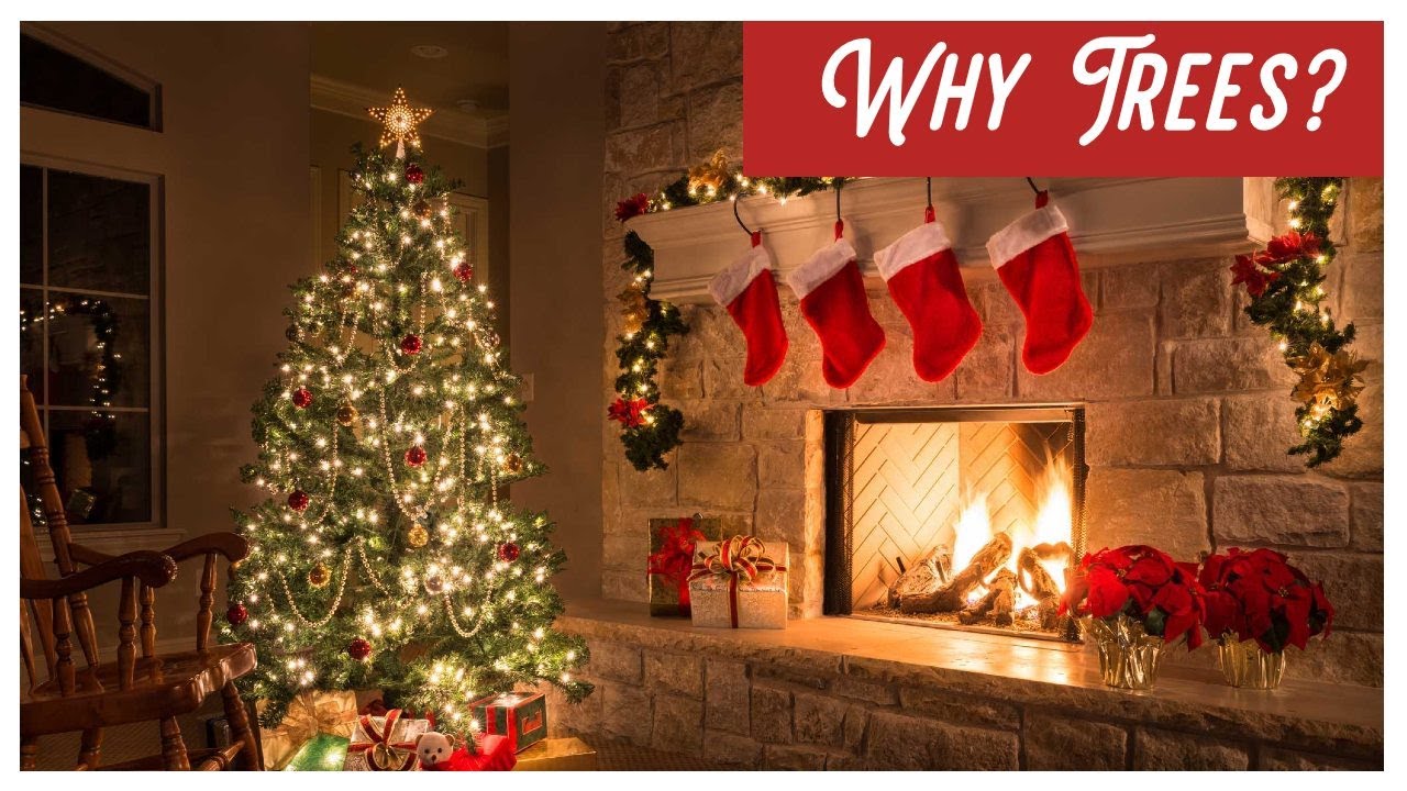 Why We Decorate Christmas Trees Every Year