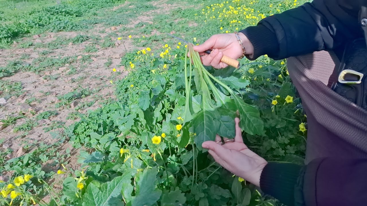 العبادة بيني وبين ربي سبحانه 