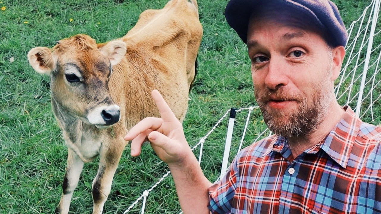 Our Next Milking Cow