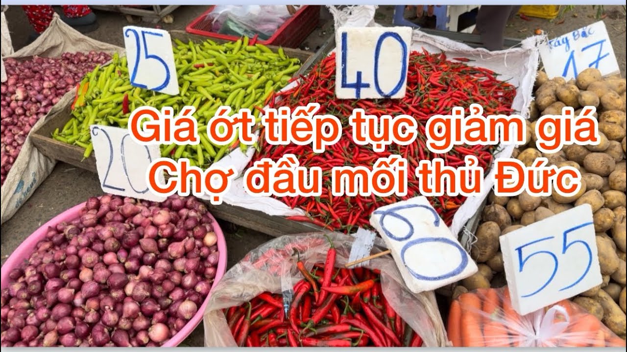Chợ đầu mối nông sản thủ Đức giá rau củ tiếp tục giảm giá ngày cận Tết 