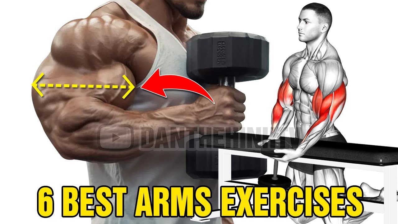 6 Best Exercises To Increase Your Arm Size
