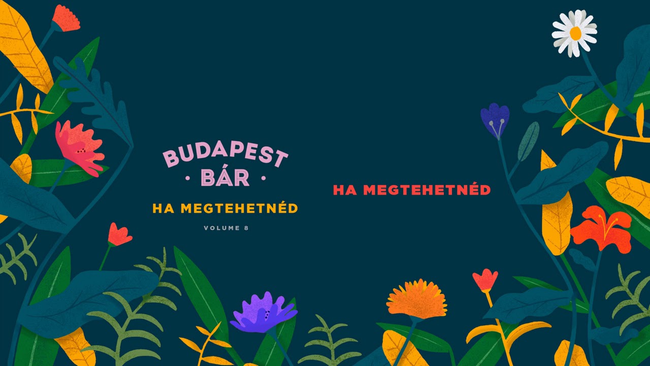 Budapest Bár - ének: Lovasi András - Ha megtehetnéd