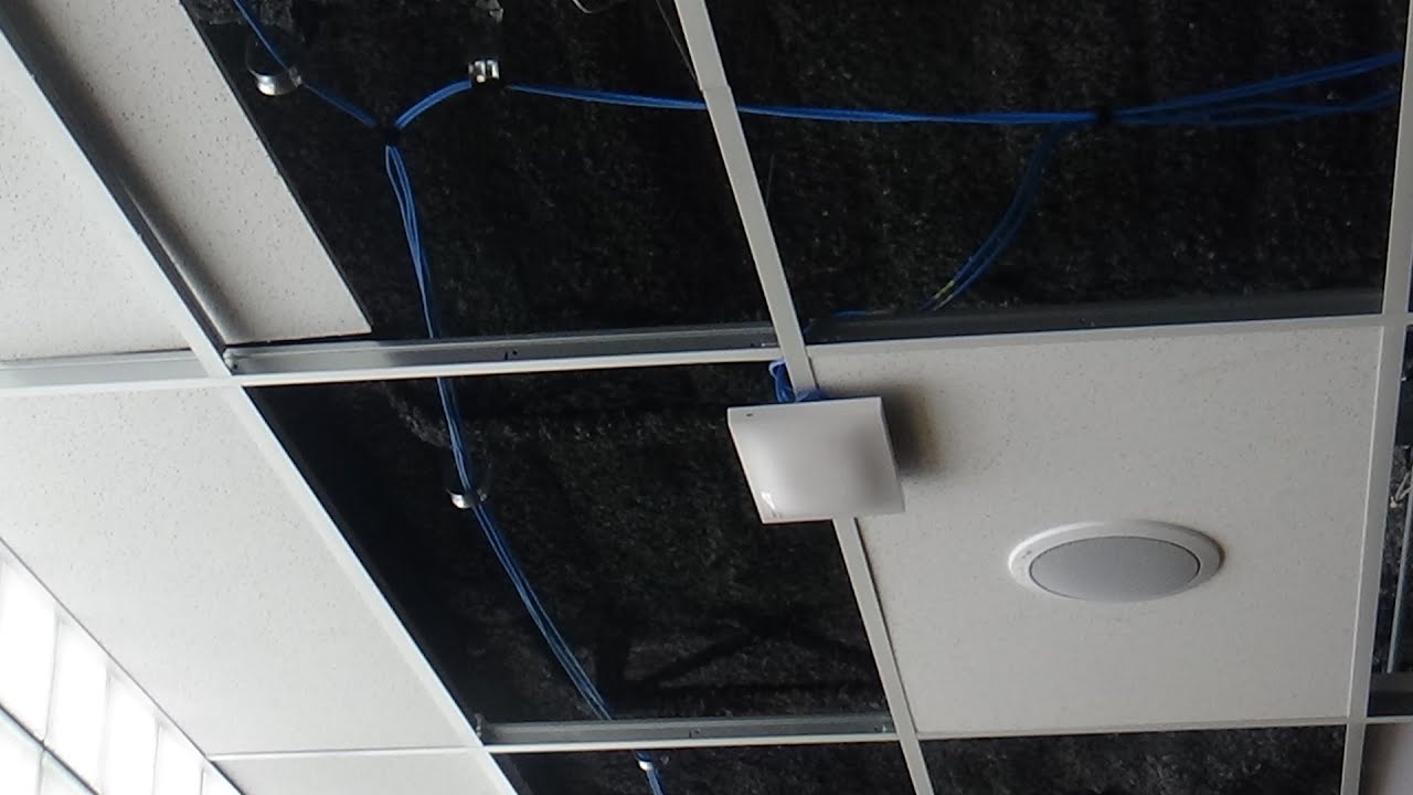 Wired Communications installing CAT 6 cabling, PoE Speakers, and Wireless Access Points