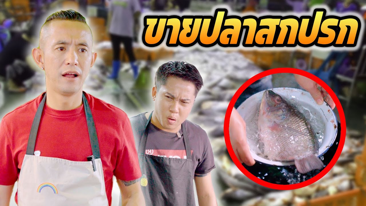การค้าขาย ด้วยความซื่อสัตย์ เป็นทางสู่ความสำเร็จที่ยั่งยืน