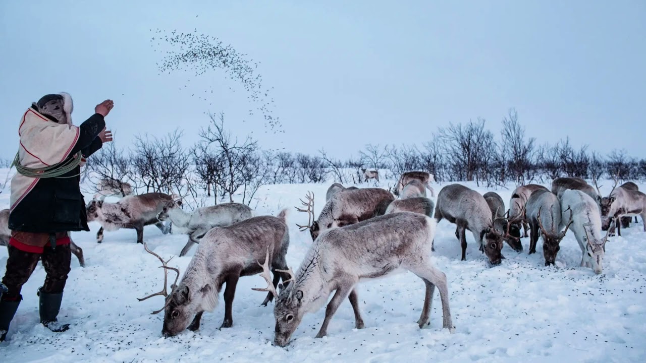 Relaxing Sami Music with the Soothing Sounds of Rain