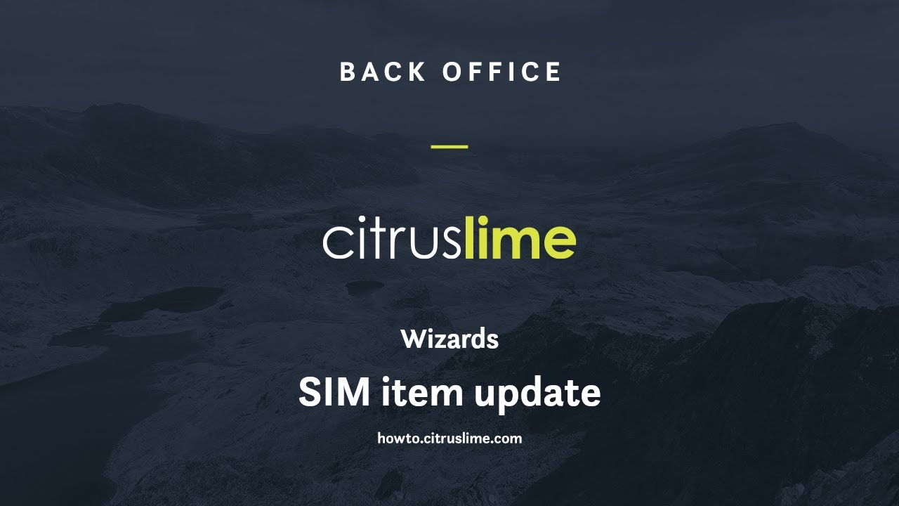 How-To: Back Office - Wizards - SIM item update