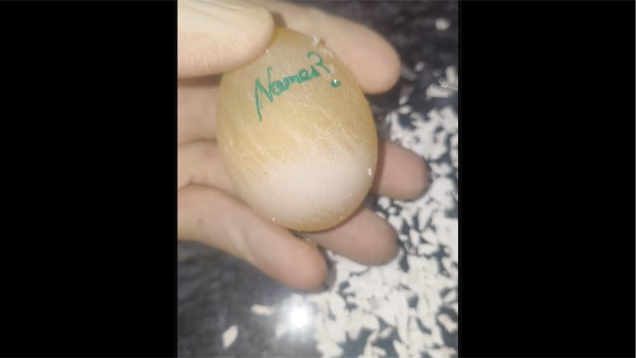 Raw Egg Peeling & Name Writing On It
