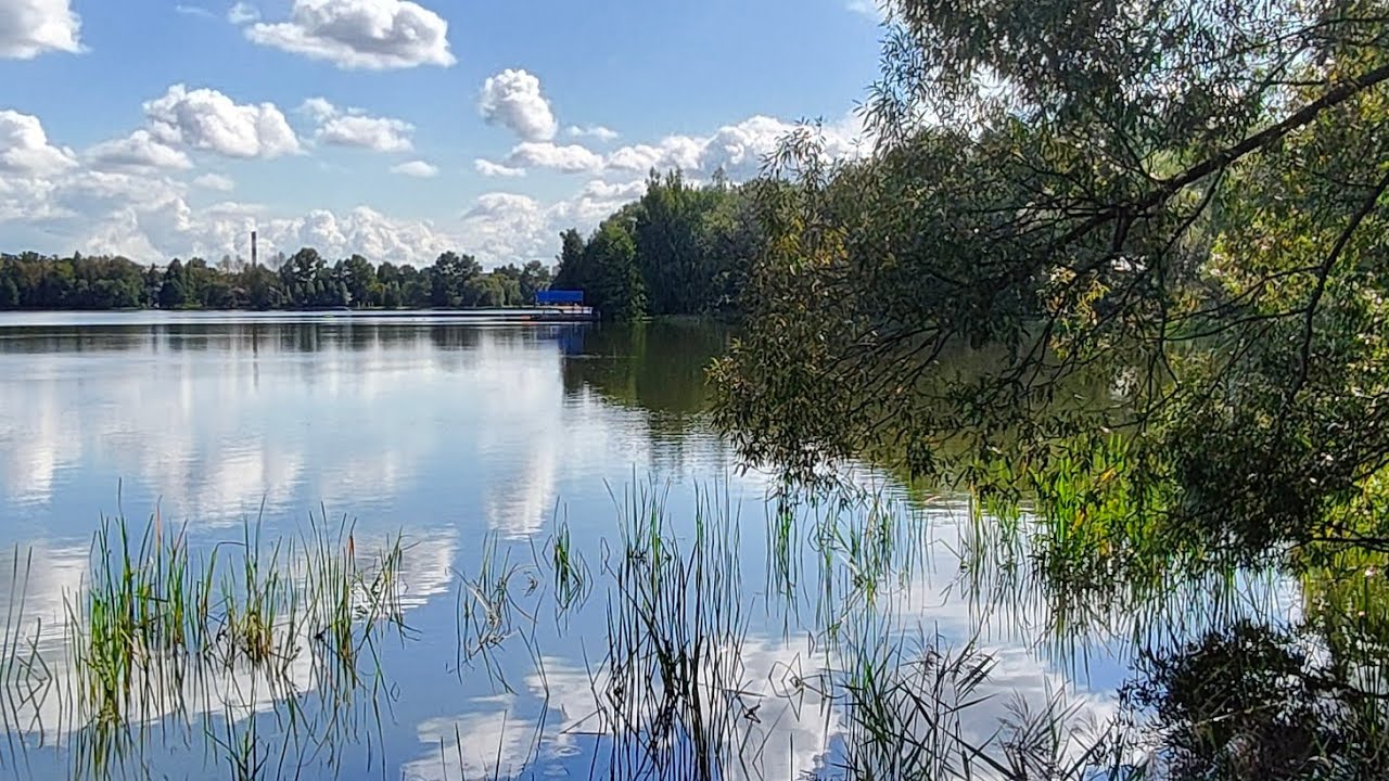Озеро Белое в Косино, отличная локация для нас художников 😀