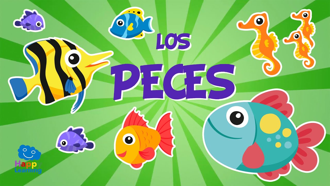 Los Peces 🐟🐠🐡  | Vídeos Educativos para Niños