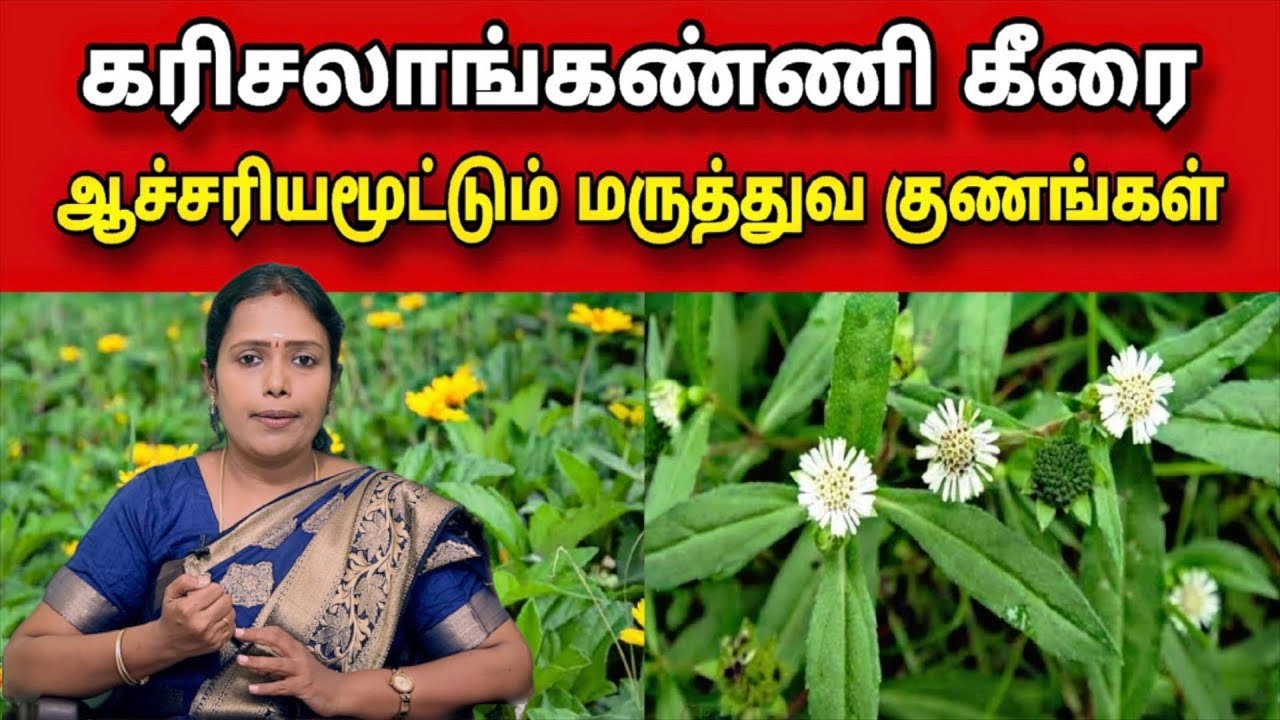 கரிசலாங்கண்ணி கீரையின் மருத்துவ பயன்கள் | Karisalankanni keerai Maruthuvam | Dr.Rajalakshmi |TCH