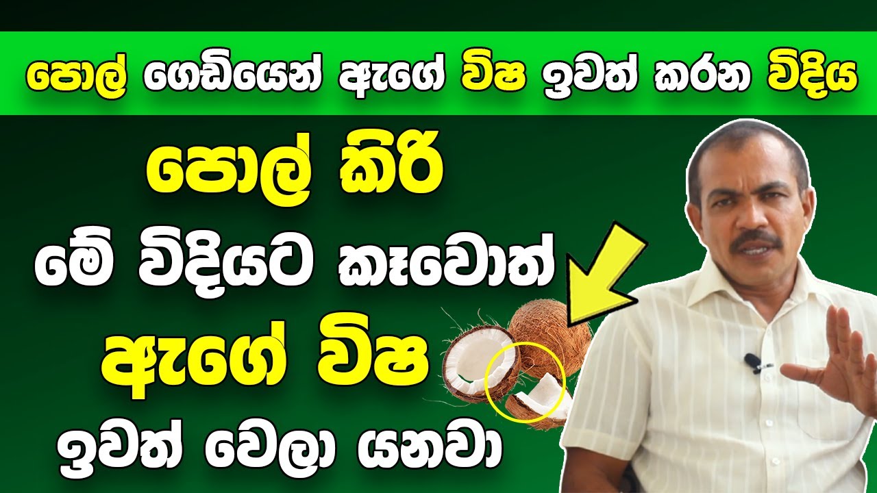 පොල් කනකොට මේ විදියට කෑවොත් ඇගේ  විෂ සියල්ලම ඉවත් වෙලා යනවා | ලෙඩ සතියෙන් හොද වෙලා යනවා | Arogya