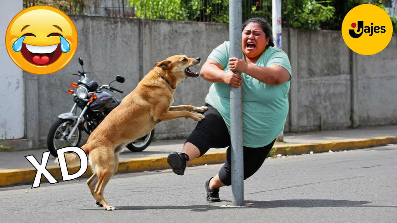 SI TE RÍES PIERDES NIVEL DIOS #133 🤣 VIDEOS DE RISA MUY GRACIOSOS 2025 🤣