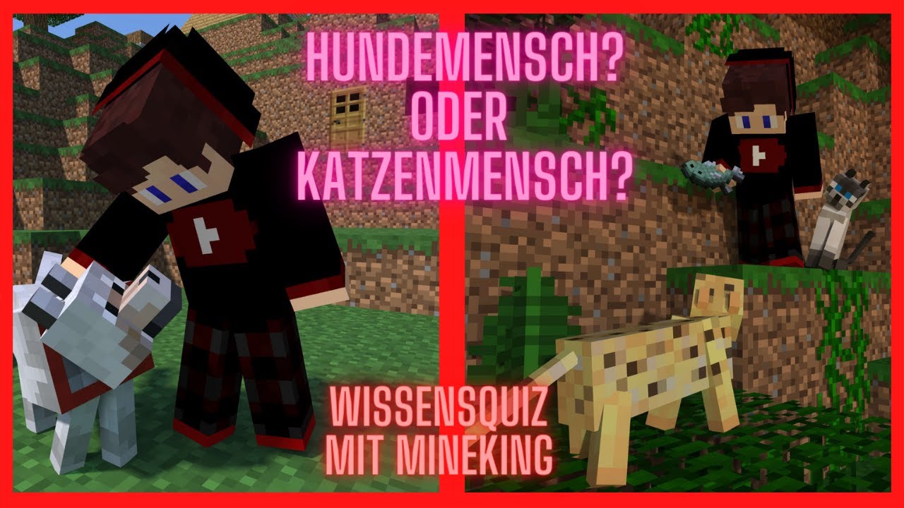 PRIVATE Fragen &uuml;ber UNS im Wissensduell mit Mineking |Minecraft