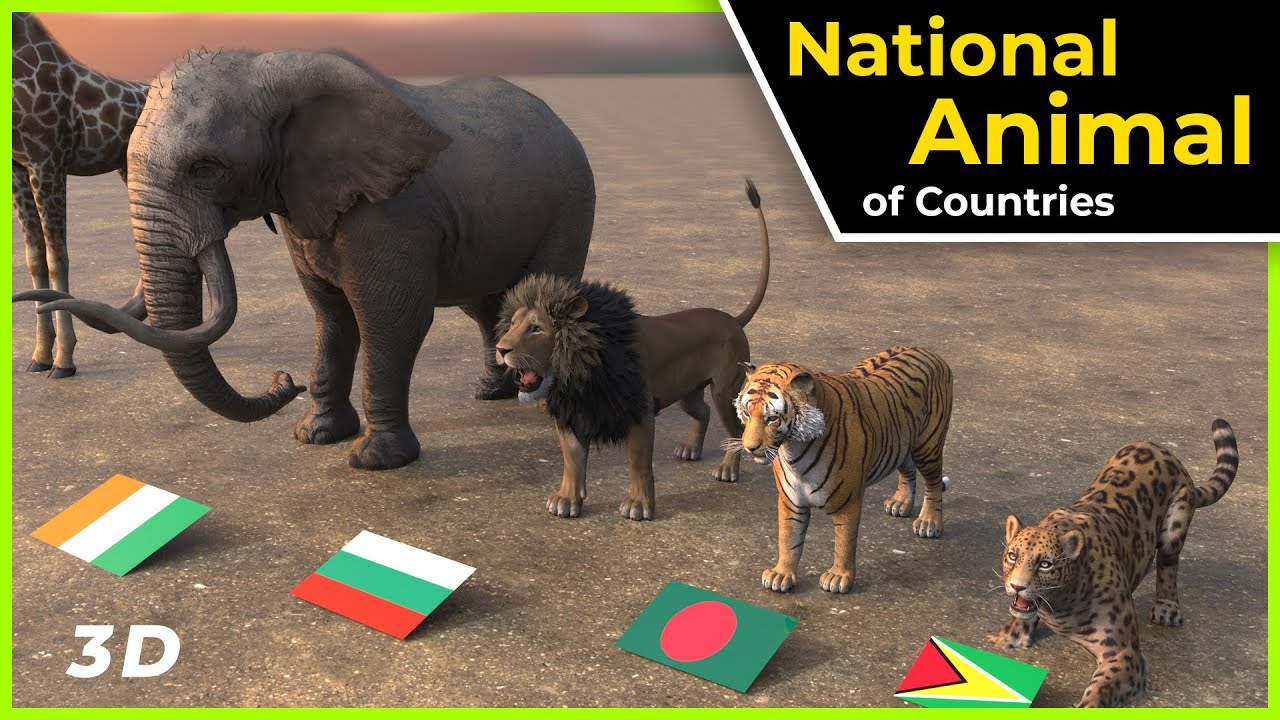 national animal of the world | National animal | Data world studio | world data