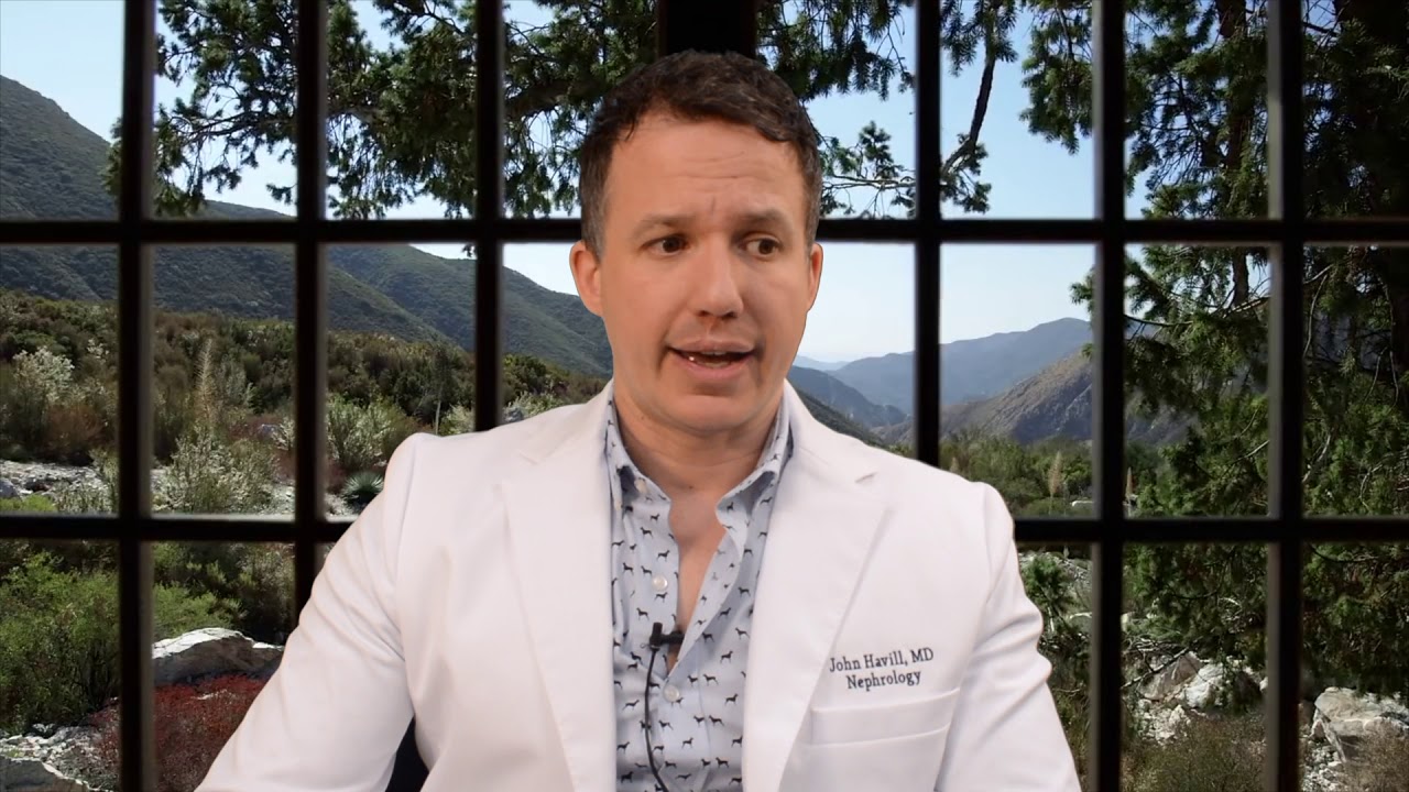 What does a Nephrologist do on your first visit?