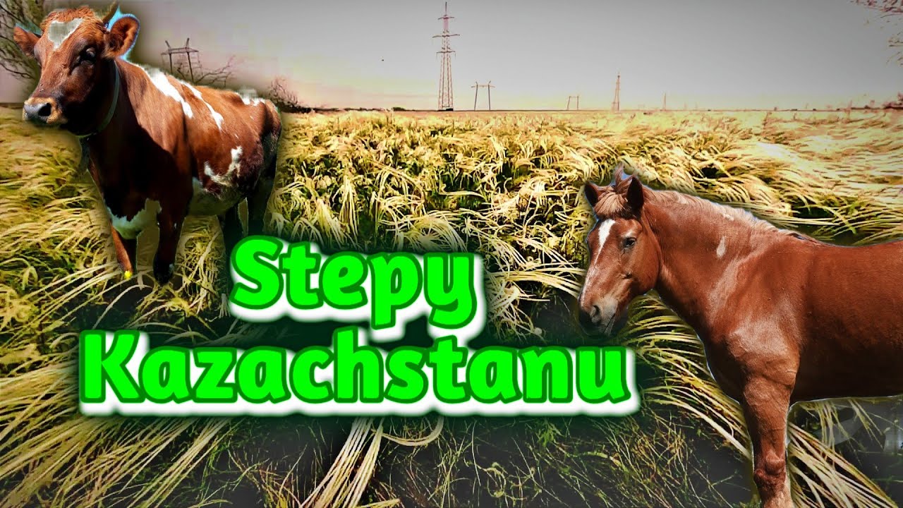 Stepy w Kazachstanie