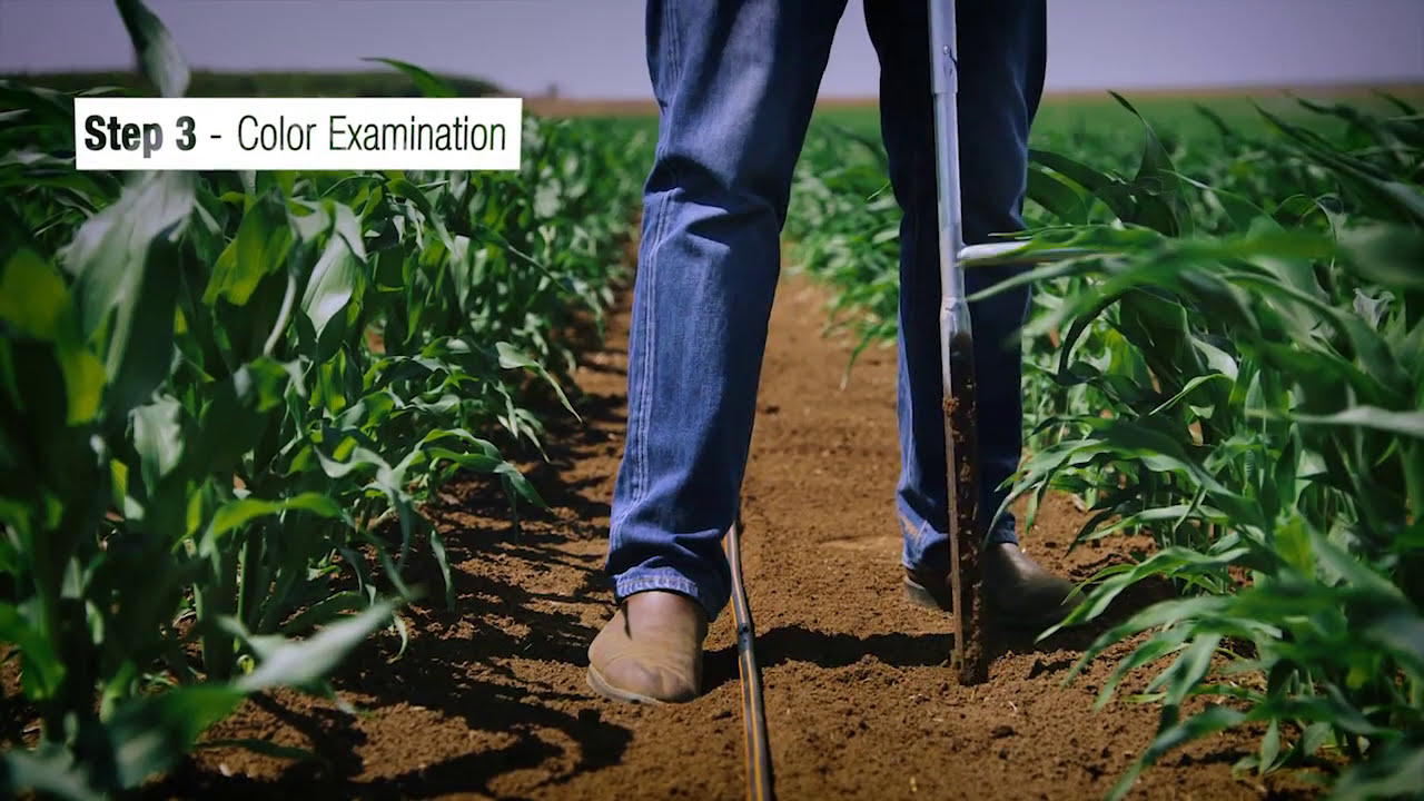 Soil Moisture Monitoring Tutorial for Netafim | by Breeze Animation
