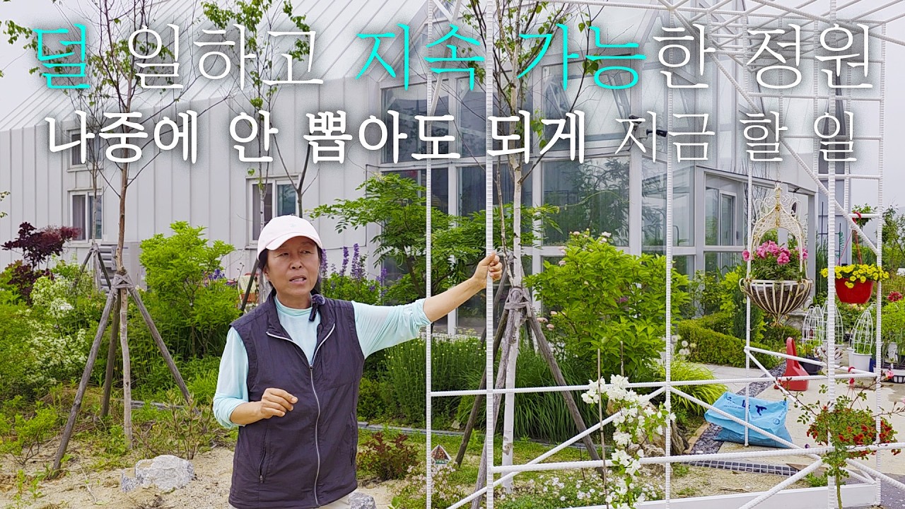 6월에 할 일 I 바람둥이 식물이 있다? I 분수대 부럽지 않은 수반 정원 TIP I 알리움 내년에 또 보려면?