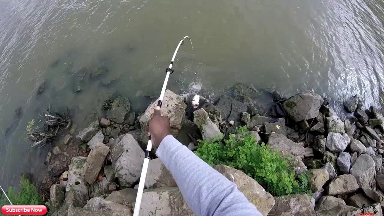 Affordable Rod and Reel Catfish Combos!!!