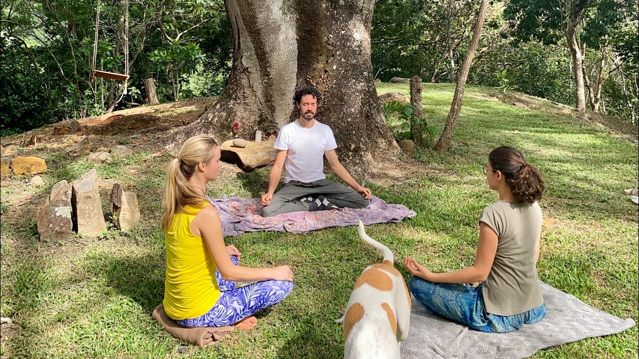 Volunteer Experience at The Jungle Hub - Permaculture Farm in Costa Rica