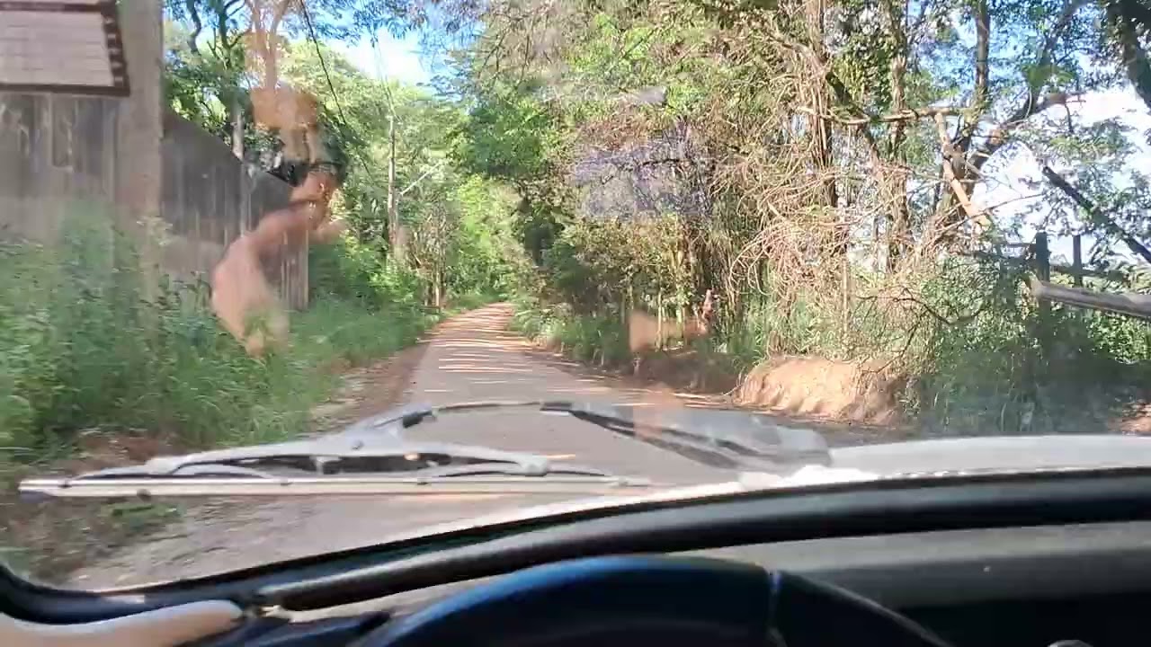 Testando o fusca