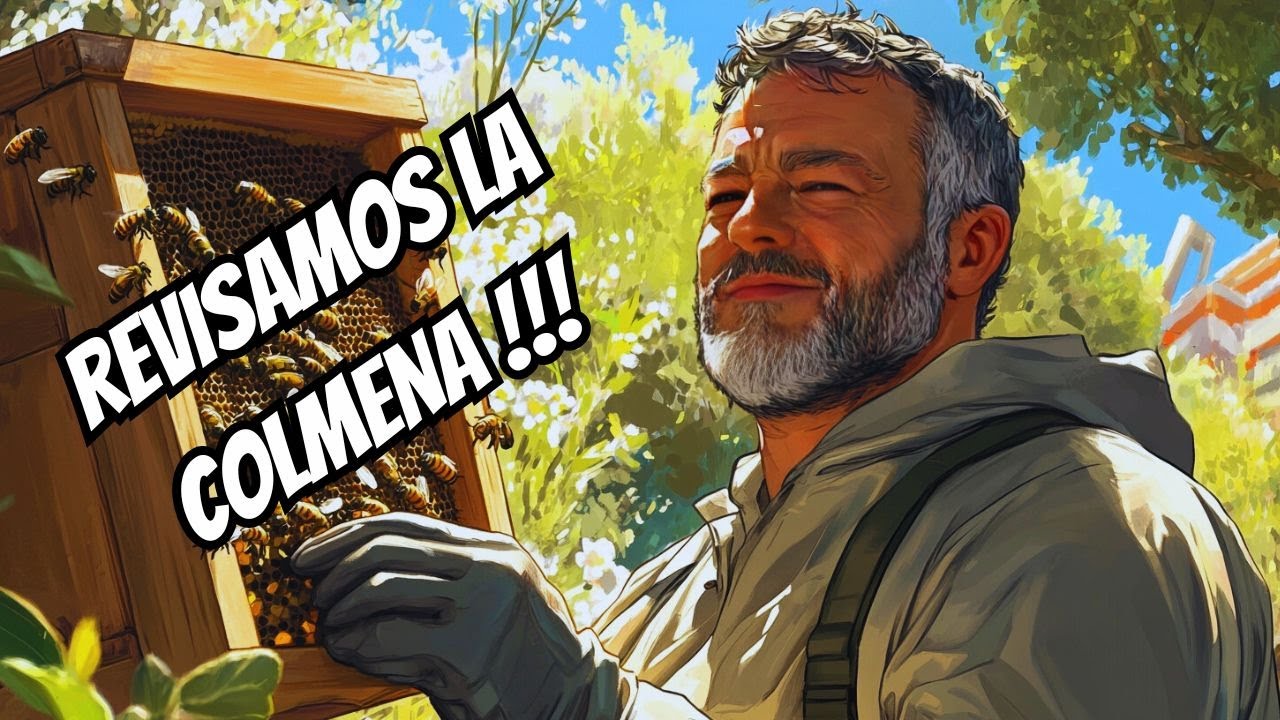 ¡La colmena está INCREÍBLE! (No me lo esperaba)