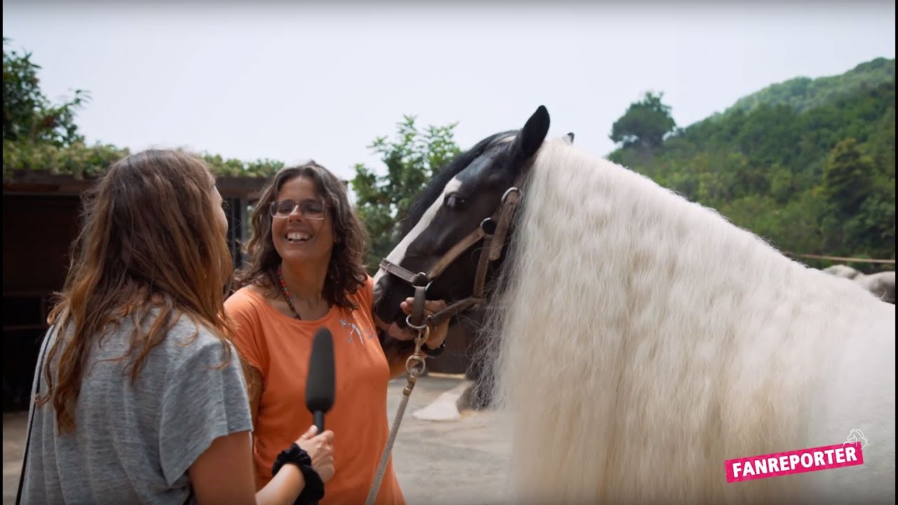 Pferderasse Tinker - Fanreporter Backstage | CAVALLUNA - Passion for horses