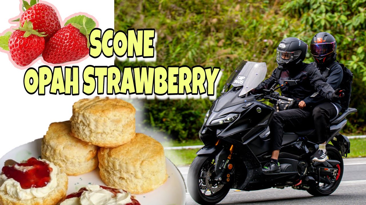 RIDE COUPLE CAMERON LAGI | makan scone OPAH