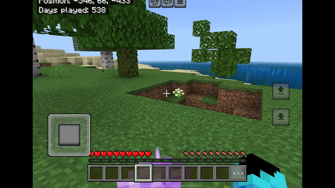 Minecraft realm