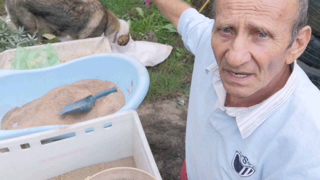 PESCUIT CU UICA GORE. Pregătesc nada pt o partidă la scobar și mreana pe Timiș.