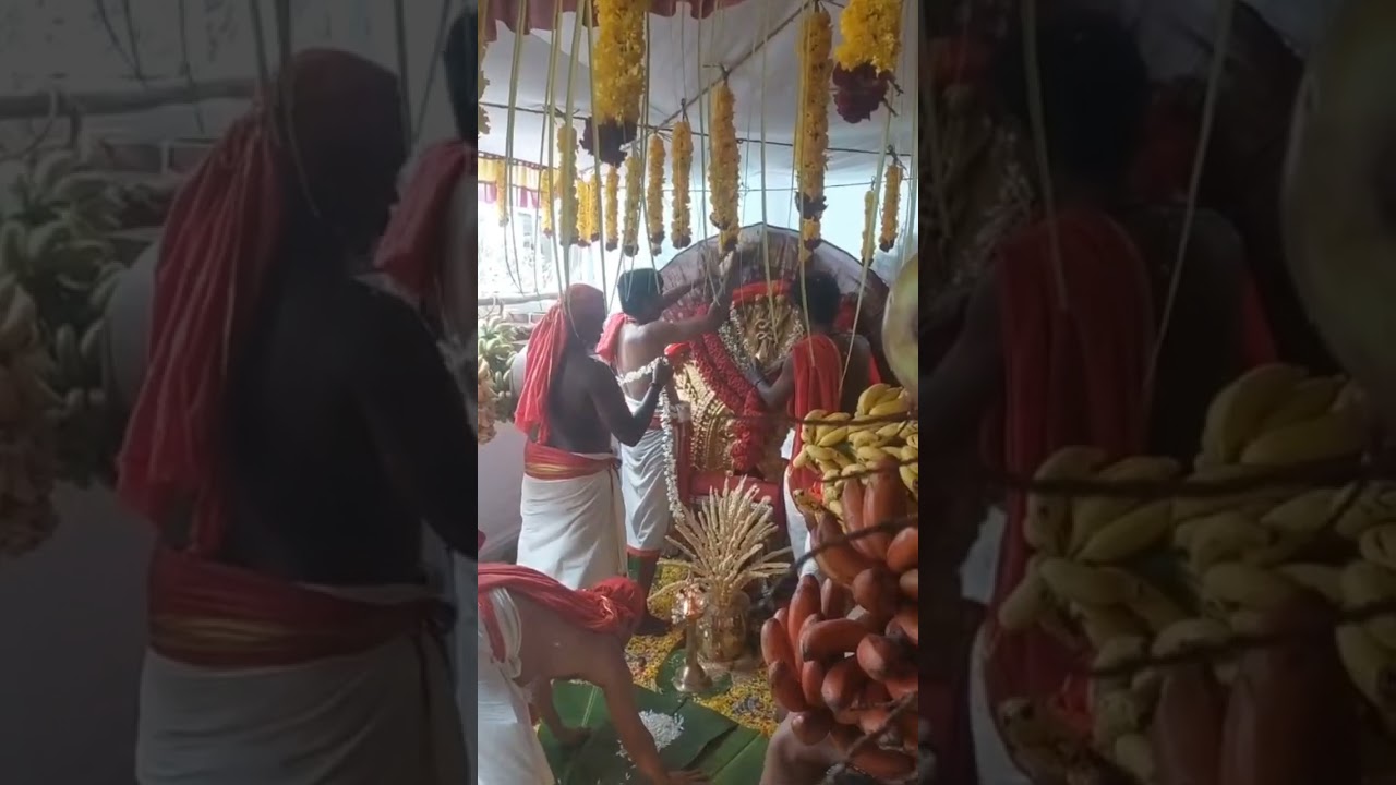 വെള്ളായണി'അമ്മ നിറപറ 🙏🏾