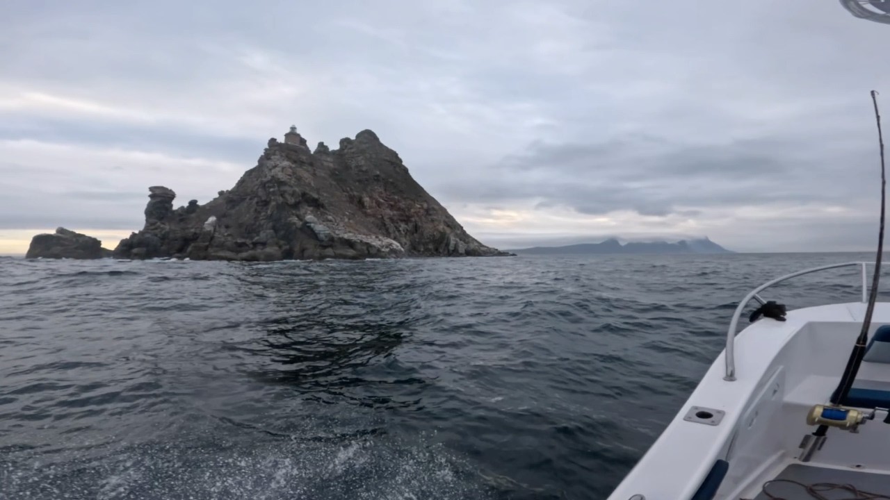 Yellowfin Tuna Fishing - Off Cape Point, South Africa