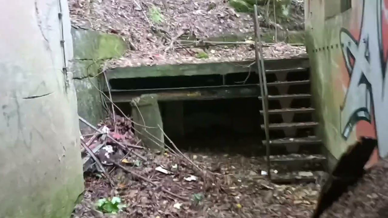 Die vergessene Mühle
