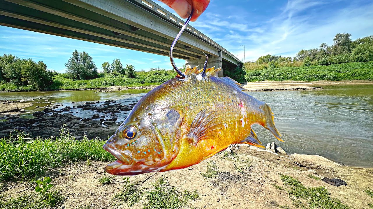 This Was ILLEGAL.. Now It's NOT!!! (Unexpected Monster Catch)