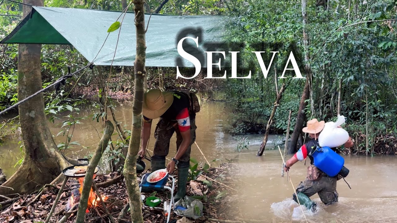 SELVA, ROÇA e PESCARIA na varinha de BAMBU Fiz uma CEVA para os ANIMAIS, teve PEIXE FRITO | AMAZÔNIA