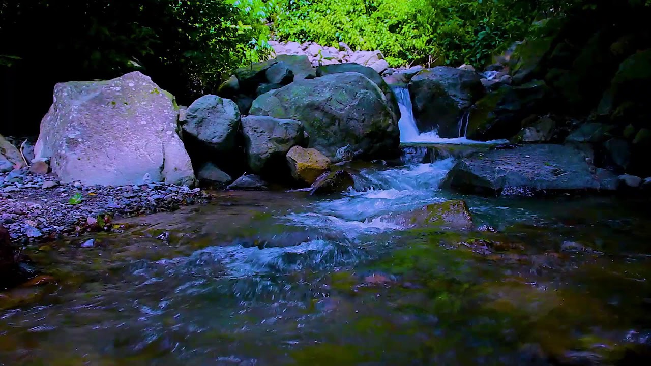 Mountain Creek at Dusk | Soothing Nature Water for Insomnia Relief