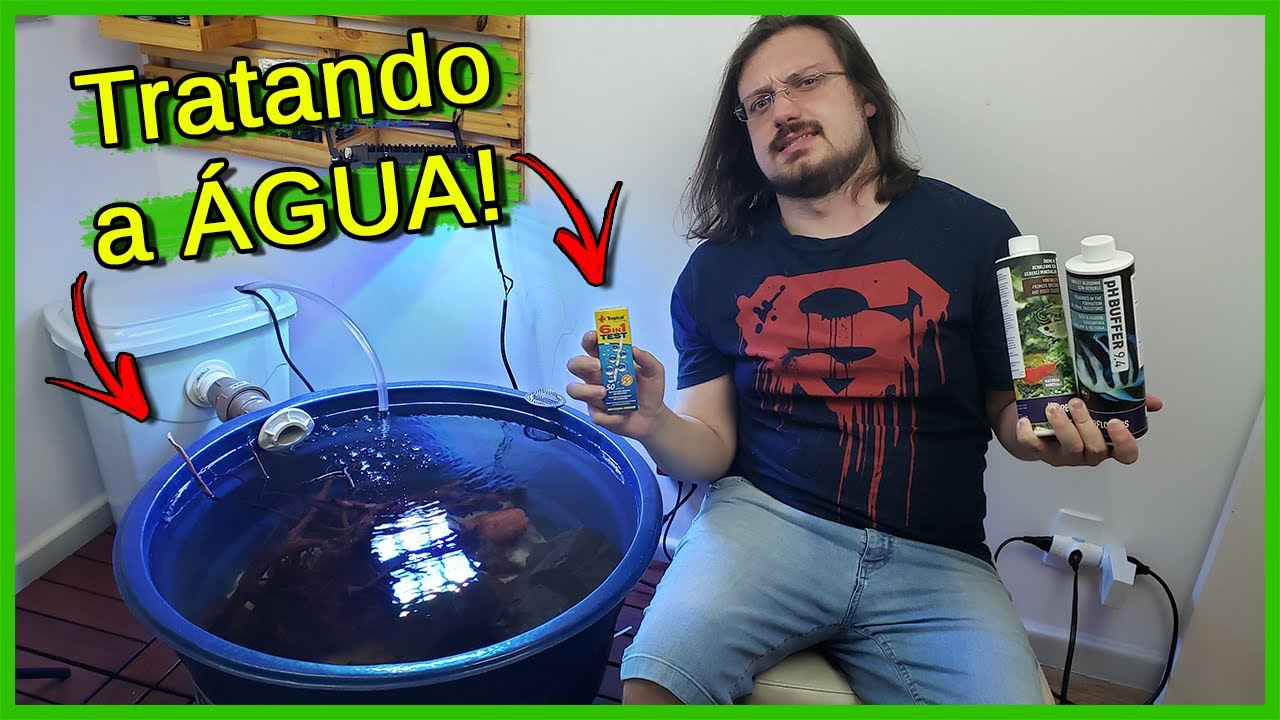 Preparando o Laguinho Caseiro para os PEIXES!