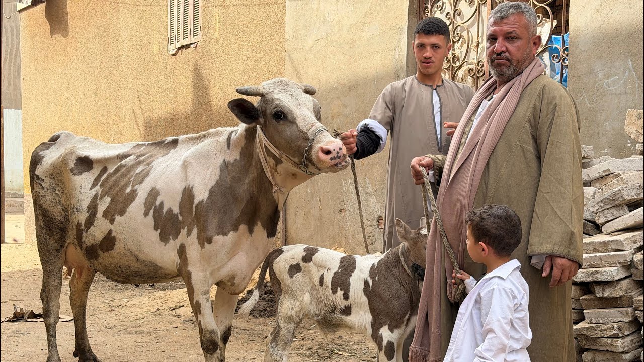 التاجر الطيب نازل بمفاجاه براون بنسبة كبيرة جدا من الموانع اوي وبسعر معقول جدا فرصه لا تعوض