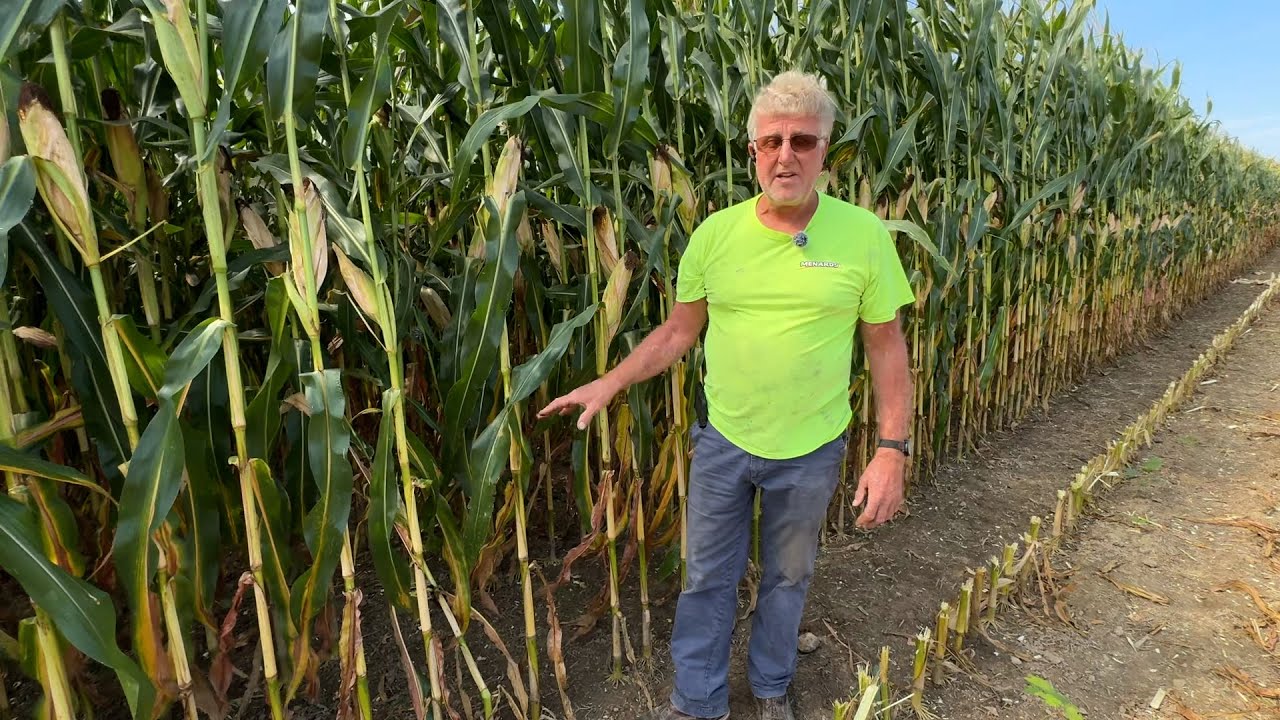 Farmer Ross S4E1 Combine repairs and corn harvest