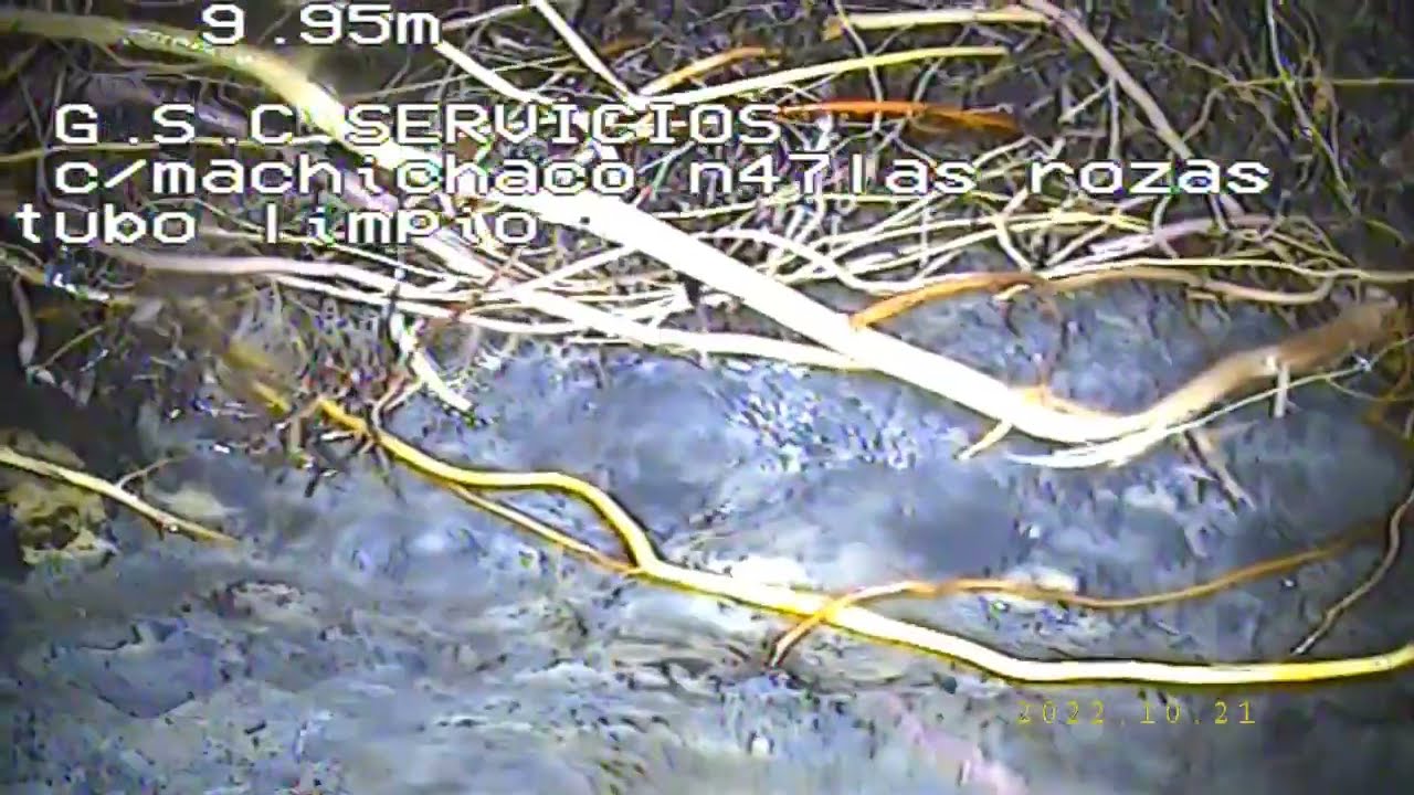 Raíces en tubería del saneamiento