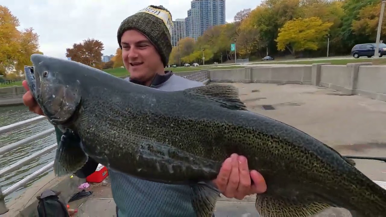 Salmon Fishing In the CITY of Milwaukee