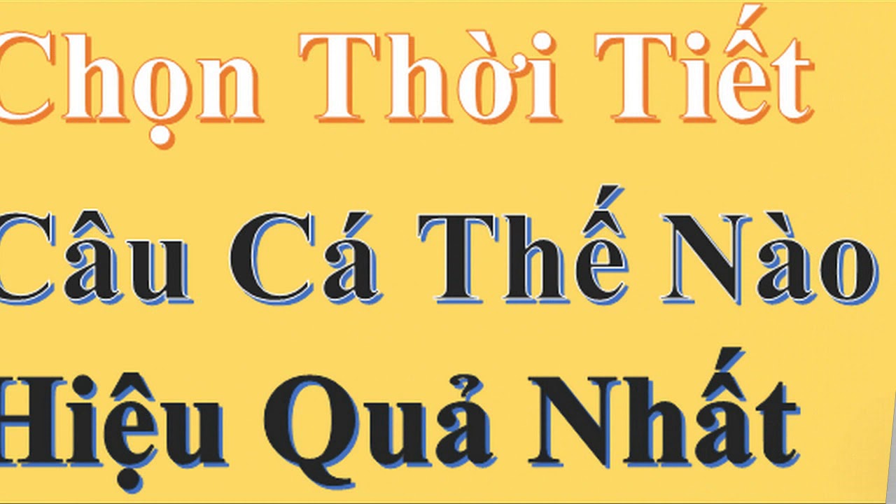 Chọn Thời Điểm Đi Câu Cá Làm Sao Cho Hiệu Quả