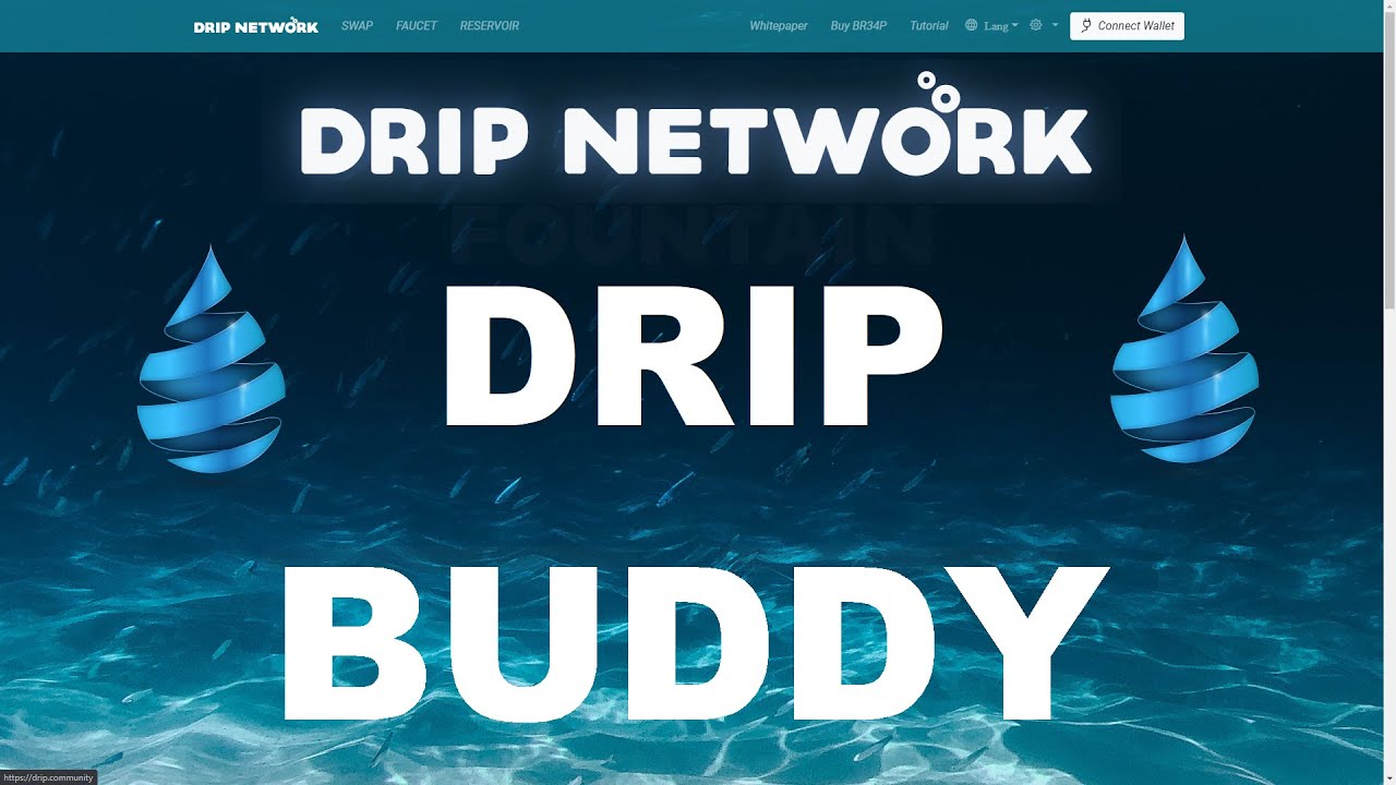 Drip Network Buddy