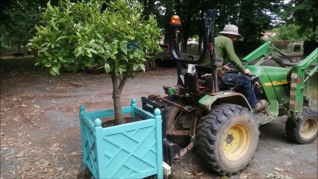 Visite virtuelle des jardins de Thiré : mise en caisse des orangers