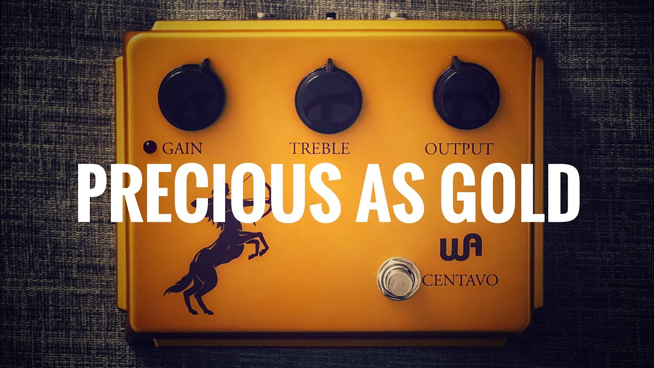 Warm Audio Centavo In Depth